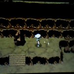 ポケモンORASハガネールナイト入手方法･場所【オメガルビーアルファサファイア】