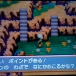 ポケモンORASひみつの花畑の行き方【オメガルビーアルファサファイア】